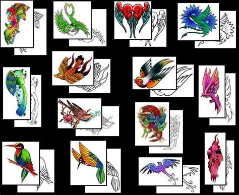 Bird Of Paradise Tattoos What Do They Mean Bird Of Paradise Tattoos