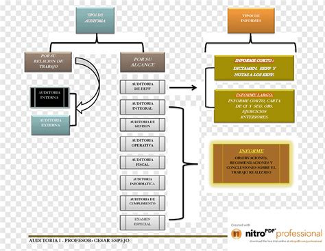 Informe De Auditor A Esquema Organizaci N Conceptual Sistema De Gesti N