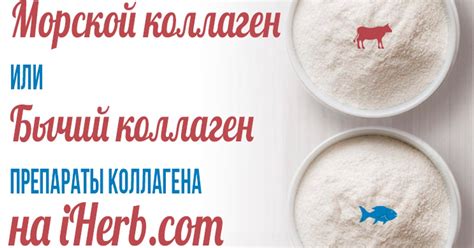 Морской коллаген или бычий коллаген? Лучшие препараты коллагена на ...