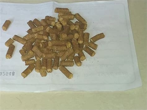 Pine Wood Pellets Cat Litter At ₹ 30kg Cat Litter In Pune Id