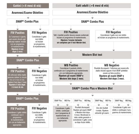 Test Snap Combo Plus Idexx Diagnostica Veterinaria Idexx Italy
