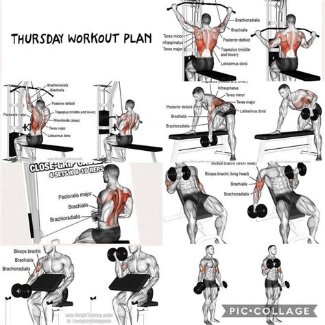 BACK BICEPS Workout For Thursday Wide Grid Pull Downs Seated