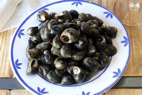 Aprende A Cocer Caracol De Mar Deliciosas Recetas Y Consejos Expertos