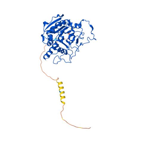 RCSB PDB AF AFP16442F1 Computed Structure Model Of Histo Blood Group