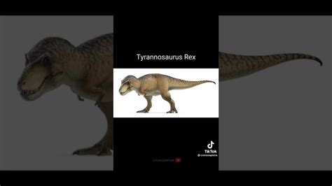 Los Sonidos De Los Dinosaurios Reales Un Poco De Informacion En La