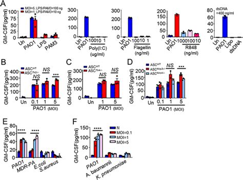 Granulocytemacrophage Colonystimulating Factor Gmcsf Secretion Is