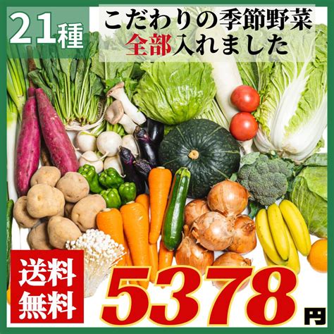 【楽天市場】【送料無料】豊洲市場直送 新鮮 野菜セット 常備野菜 X 季節野菜 詰め合わせ 豊洲市場直送 大入り おまかせ 旬の野菜セット 旬