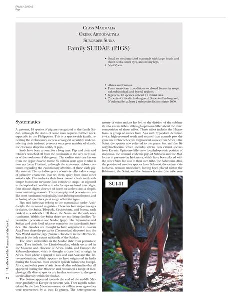 (PDF) Family Suidae (Pigs)