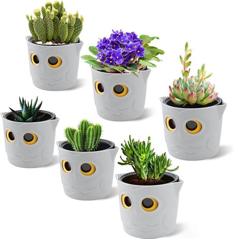 Restmo 6 Pack Cute Owl Plant Pots 9cm Self Watering Planters For