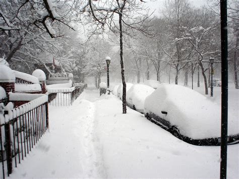 Boston Blizzard Anne Grady Group