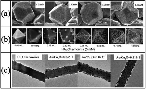 A Sem Images Of Selective Growth Of Au Nanoparticles On Truncated