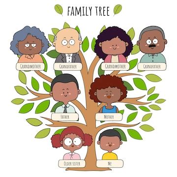 Family Tree Clipart Stock Illustrations, Royalty-Free Vector - Clip Art Library