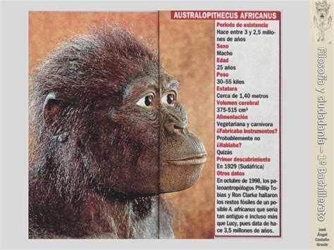 Los Orígenes De La Humanidad