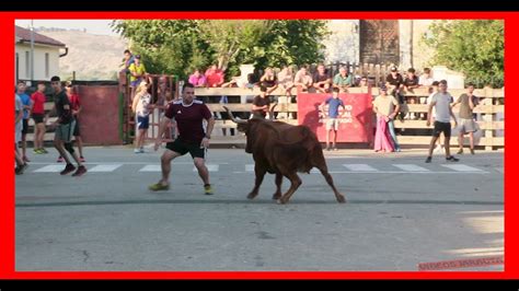 FONTELLAS NAVARRA TARDE VACAS CALLE DOMINGO 8 OCTUBRE 2023