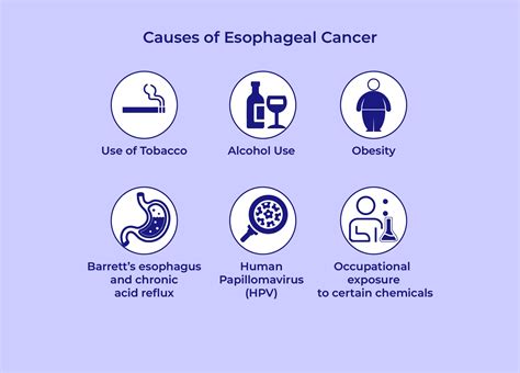 Esophageal Cancer: Causes, Types, Symptoms, Diagnosis, Treatment, and ...