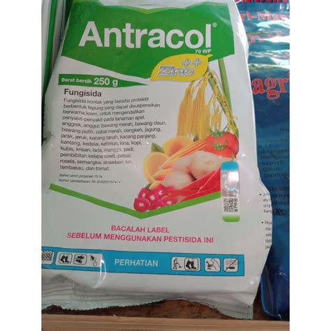 Jual Fungisida Antracol 70 WP Zinc Kemasan 250 Gr Shopee Indonesia