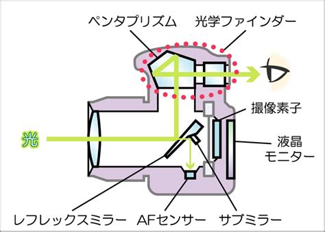 【カメラ用語事典】位相差af Capa Camera Web