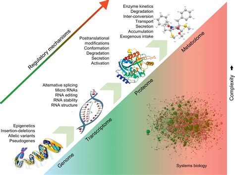 Proteomics And Metabolomics For Mechanistic Insights And Biomarker