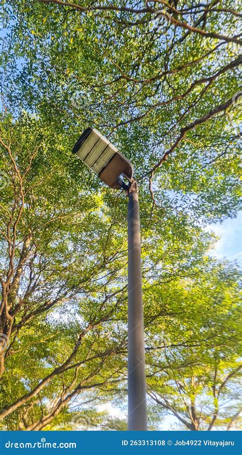 Solar Light Pole in the Garden Stock Photo - Image of lights ...