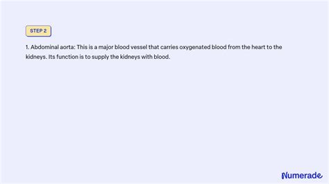 Solved Find An Unlabeled Picture Of The Human Urinary System Hand