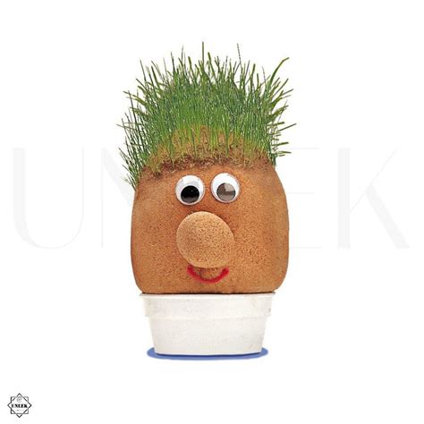 £7 8 Gbp Mr Grass Head Grow Your Own Pot Plant Grass Hair Styling Christmas Toy T Ebay