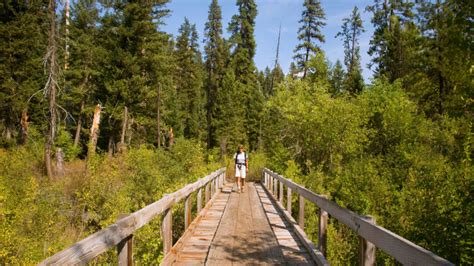 Washington State Forests You Need To Visit