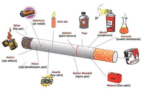 Sigaranın İlk İçimde Zararları Bilim Ve Tekno