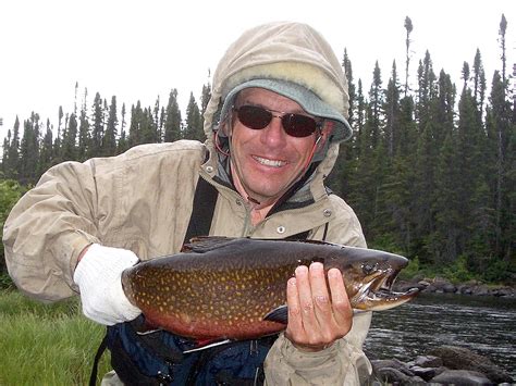 Brook Trout Caught On Fly Global Flyfisher