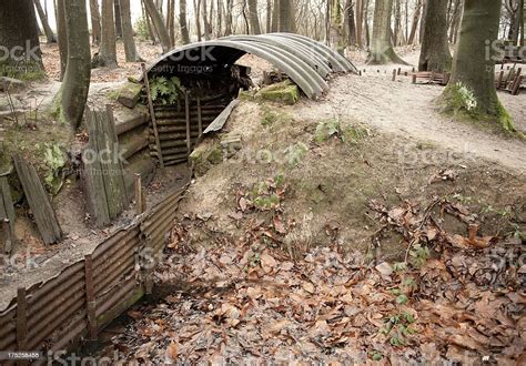 Ww1 Dugout With Trench Ypres Begium Stock Photo Download Image Now