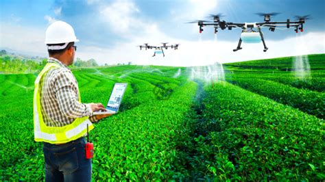 Transforming Indian Agriculture The Rise Of Drone Technology