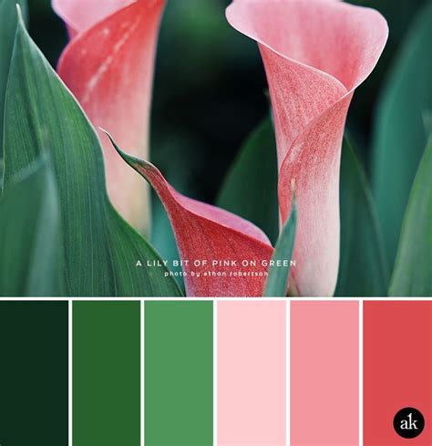 A Calla Lily Inspired Color Palette Pinks And Greens Coral Colour Palette Color Palette