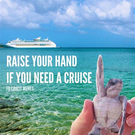 Cruise meme fun | Cruise quotes, Cruise pictures, Vacation quotes funny