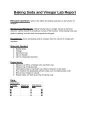 Baking Soda And Vinegar Lab Report Docx Baking Soda And Vinegar Lab