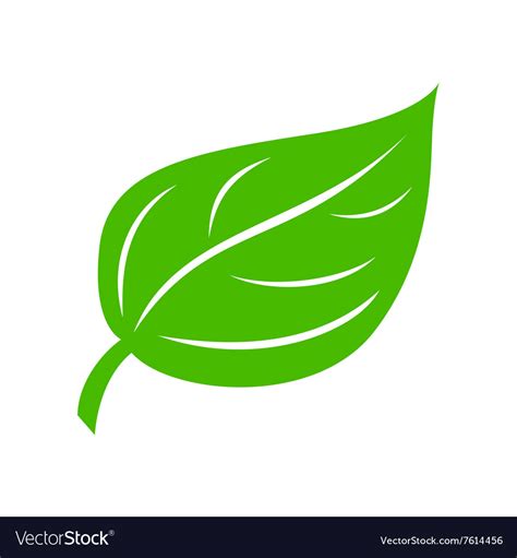 Green Leaf Icon