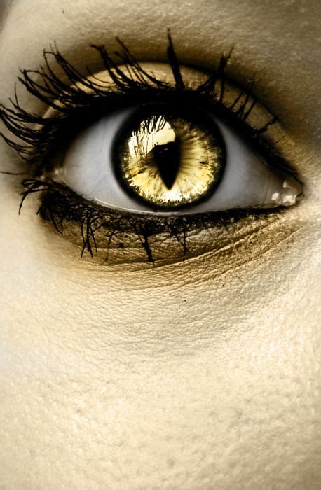 Pin By Jan Dirksen On Ⓖ Gold Ⓖ Cool Eyes Gold Eyes Golden Eyes