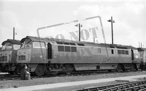 Rail Online Class 52 Western D1057 1972 05 14 Old Oak Common