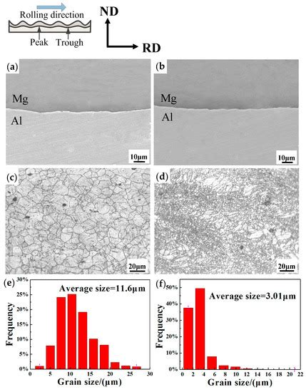 Metals Free Full Text Microstructure Characterization And