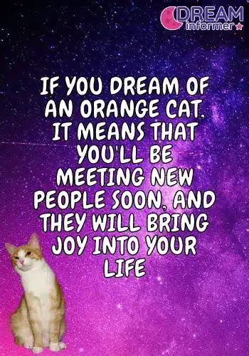 Orange Cat Dream Meaning Dream Informer