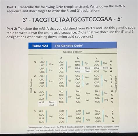 Solved Part Transcribe The Following Dna Template Strand Chegg