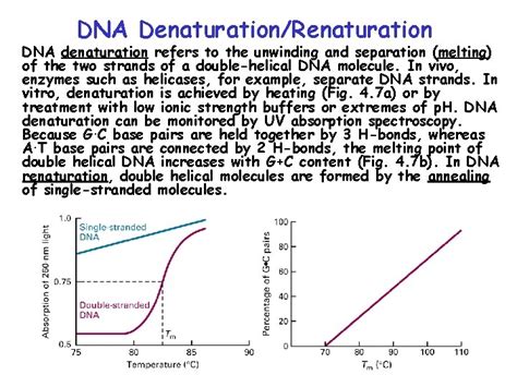 Chap Basic Molecular Genetic Mechanisms Part A