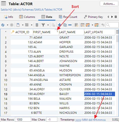 Viewing Table Data Comprehensive Guide In DbVisualizer