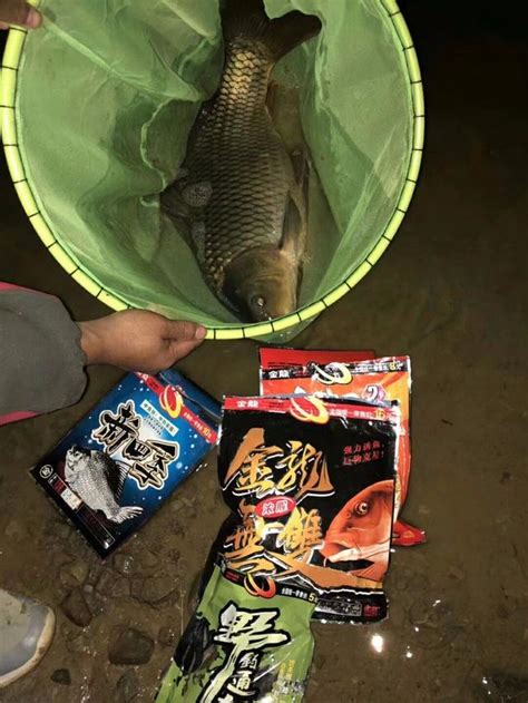 春分野釣鯉魚垂釣需技巧 每日頭條