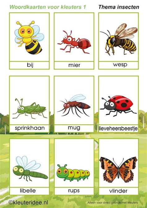 Insecten Kriebelbeestjes Thema Insecten Werkjes