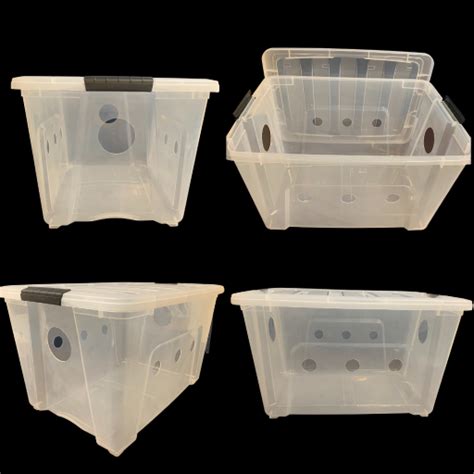Mushroom Containers Mycological