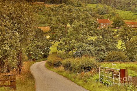 Yorkshire Countryside Photograph by Martyn Arnold - Fine Art America