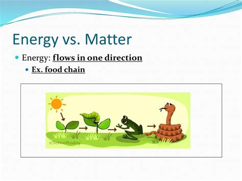 Natural Cycles Ppt Download