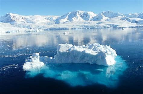 Antarctica Tours & Travel - G Adventures