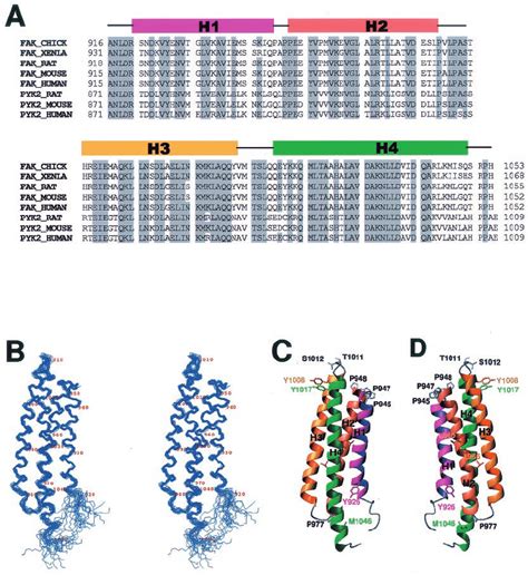 Sequence And Structure Of The FAT Domain A Structure Based Amino