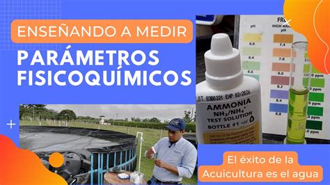 Enseñando a medir Parámetros Fisicoquímicos del agua YouTube