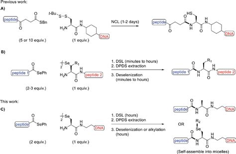 Methods For The Chemoselective Amidation Of Biomolecules A Native Download Scientific